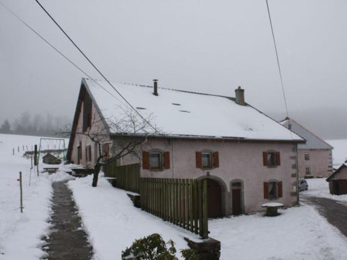 Gite Paisible A 650M D'Alt., Nature, Cheminee, 3 Ch. Pres De Remiremont & Plombieres, Terrasse, Grand Terrain - Fr-1-589-50 Girmont-Val-dʼAjol Dış mekan fotoğraf